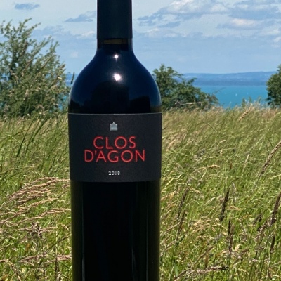 Clos d'Agon Tinto, 2020