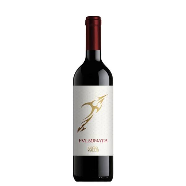 Fulminata appassimento, 2017 - 75cl